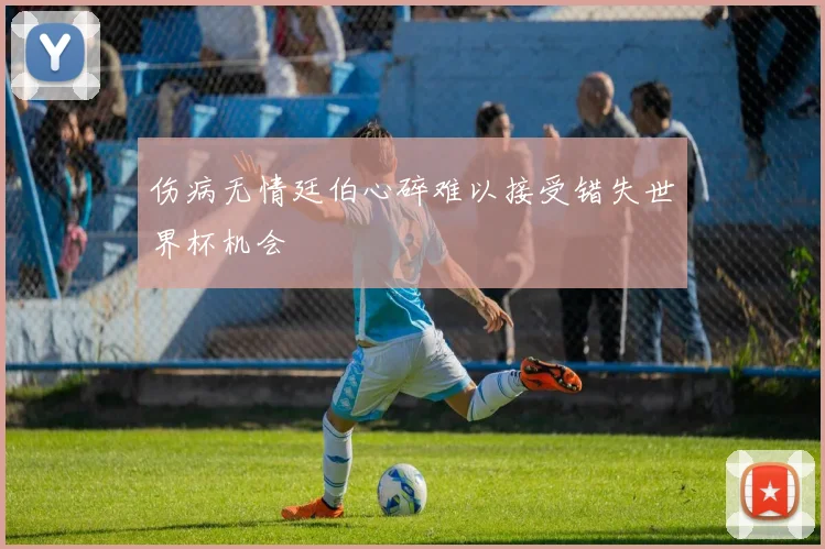 伤病无情廷伯心碎难以接受错失世界杯机会